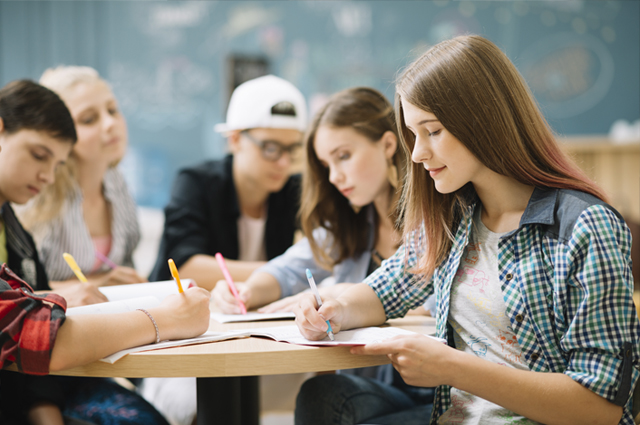 Diplomado en Psicología Educativa y Desarrollo Evolutivo